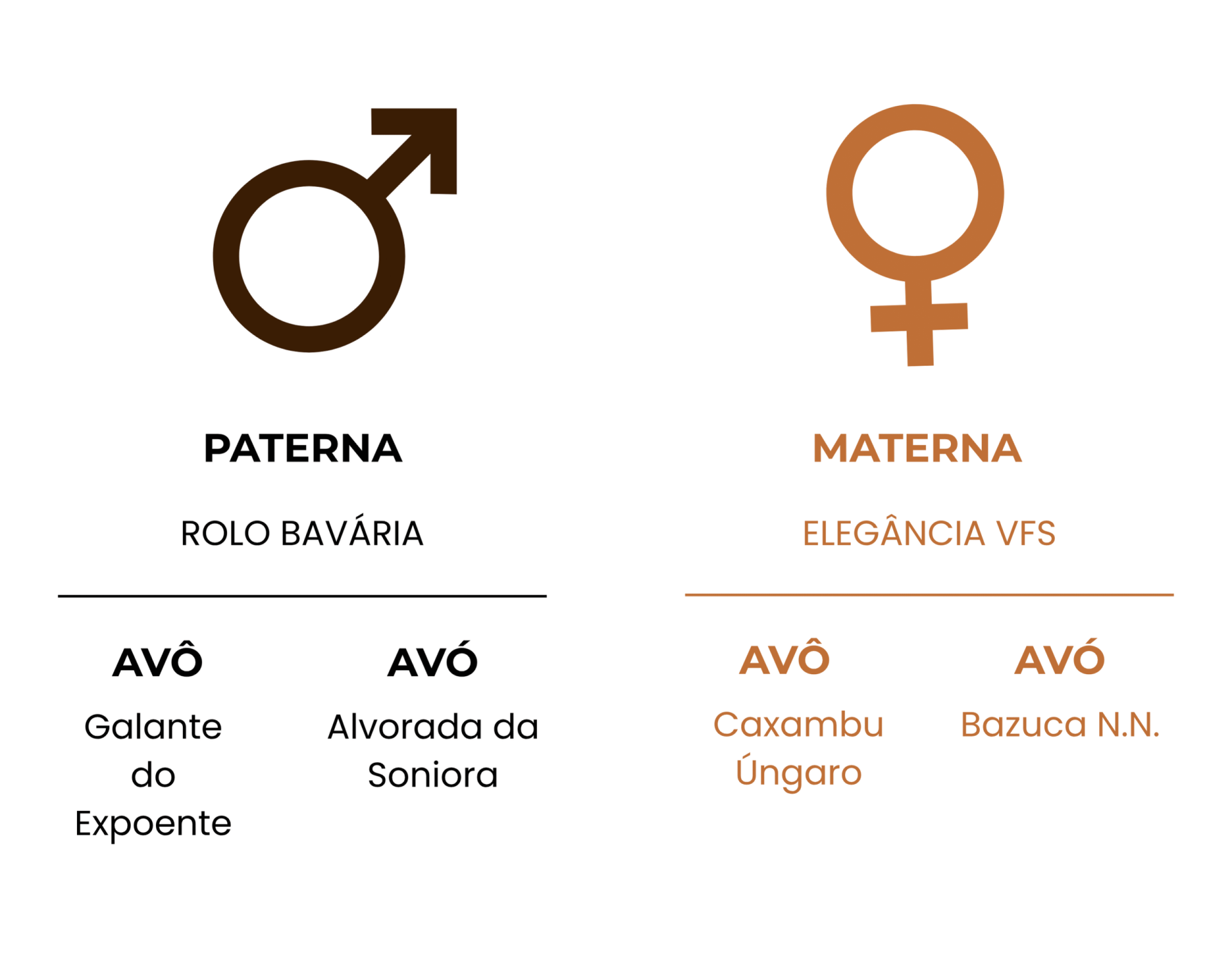 GENEALOGIA DONNA DE CLARION