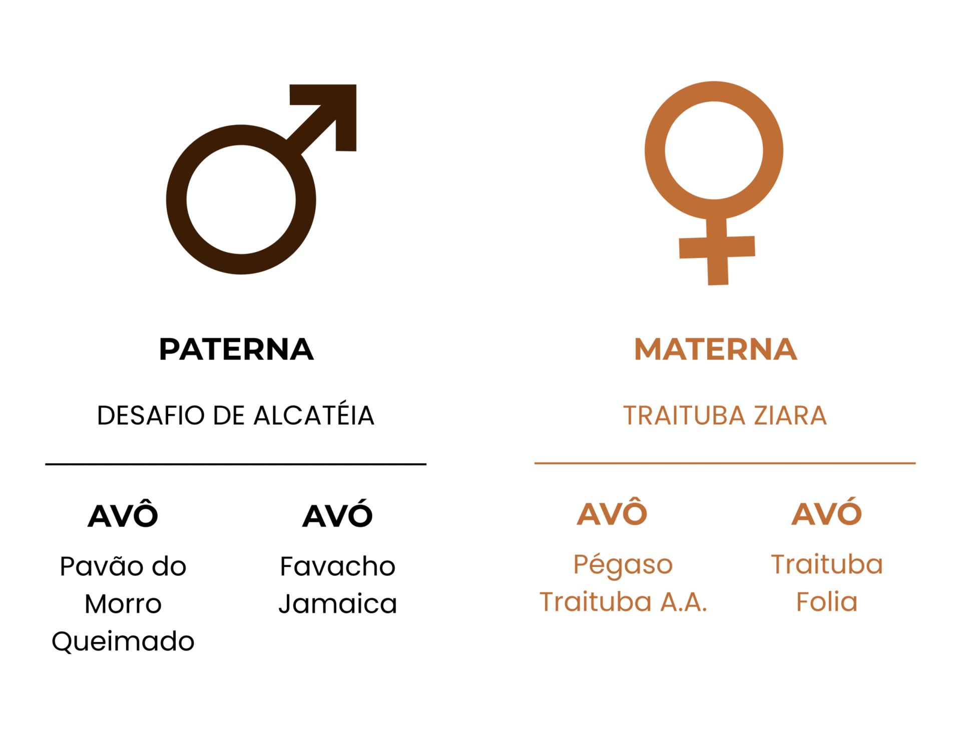 GENEALOGIA GAMELEIRA II GENIAL