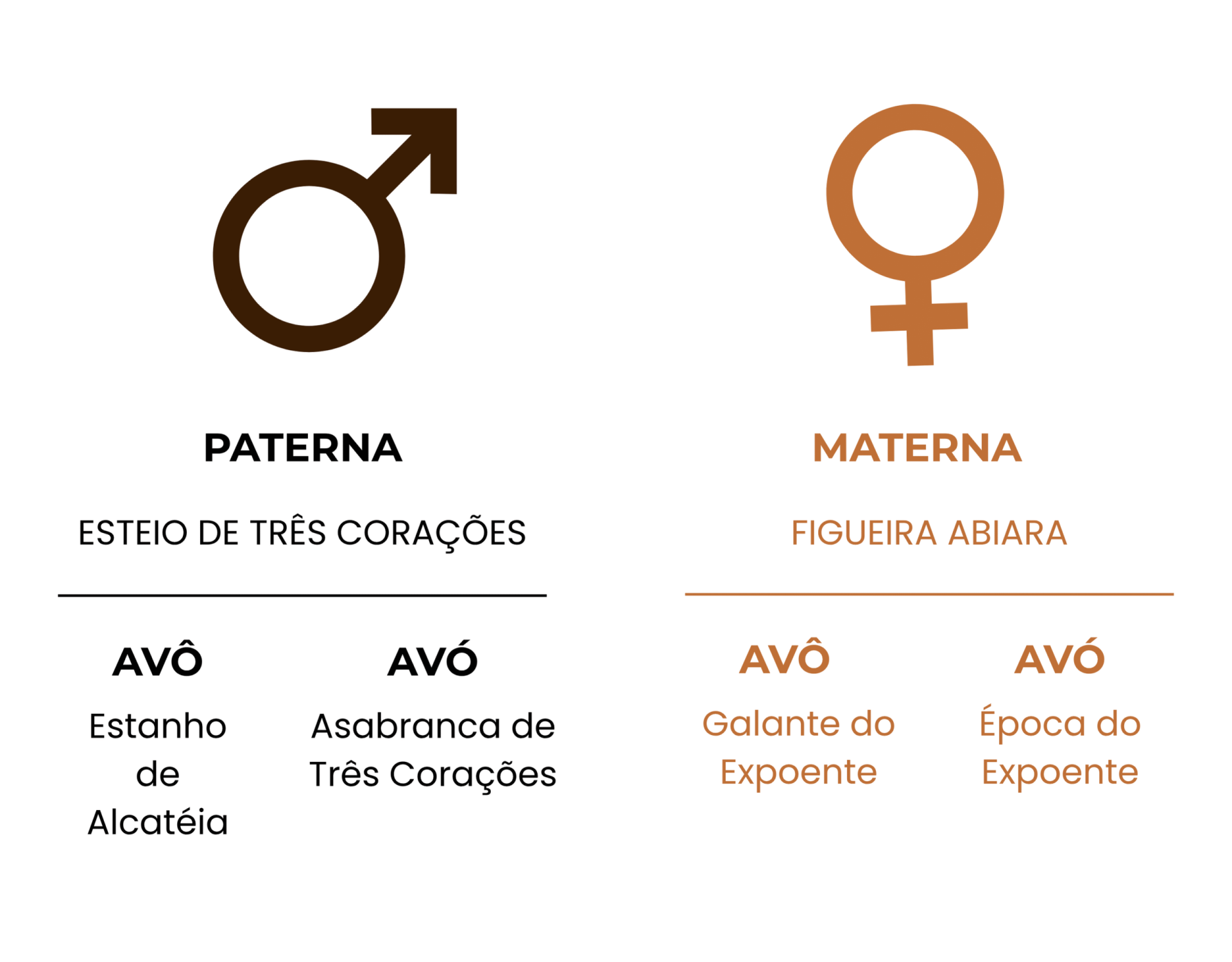 GENEALOGIA ULTRA RRC